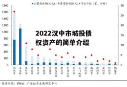 2022汉中市城投债权资产的简单介绍