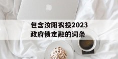 包含汝阳农投2023政府债定融的词条