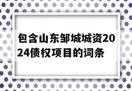 包含山东邹城城资2024债权项目的词条