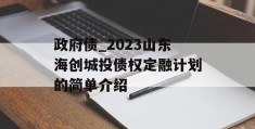 政府债_2023山东海创城投债权定融计划的简单介绍