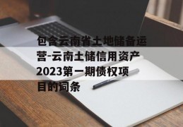 包含云南省土地储备运营-云南土储信用资产2023第一期债权项目的词条