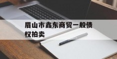 眉山市鑫东商贸一般债权拍卖