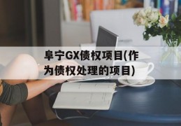 阜宁GX债权项目(作为债权处理的项目)