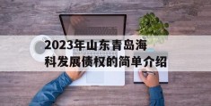 2023年山东青岛海科发展债权的简单介绍