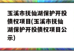 玉溪市抚仙湖保护开投债权项目(玉溪市抚仙湖保护开投债权项目公示)