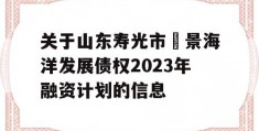 关于山东寿光市昇景海洋发展债权2023年融资计划的信息