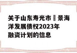 关于山东寿光市昇景海洋发展债权2023年融资计划的信息