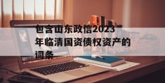 包含山东政信2023年临清国资债权资产的词条