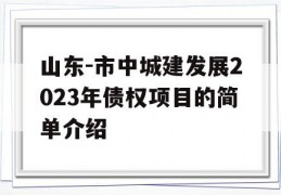 山东-市中城建发展2023年债权项目的简单介绍