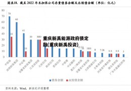 重庆新禹能源政府债定融(重庆新禹投资)