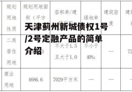 天津蓟州新城债权1号/2号定融产品的简单介绍