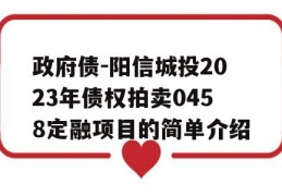 政府债-阳信城投2023年债权拍卖0458定融项目的简单介绍