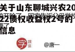 关于山东聊城兴农2022债权收益权2号的信息