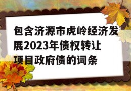 包含济源市虎岭经济发展2023年债权转让项目政府债的词条