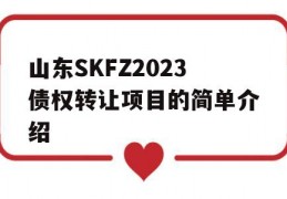 山东SKFZ2023债权转让项目的简单介绍