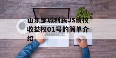 山东邹城利民JS债权收益权01号的简单介绍