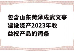 包含山东菏泽成武文亭建设资产2023年收益权产品的词条