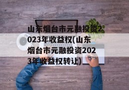 山东烟台市元融投资2023年收益权(山东烟台市元融投资2023年收益权转让)