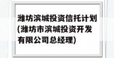 潍坊滨城投资信托计划(潍坊市滨城投资开发有限公司总经理)