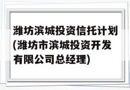 潍坊滨城投资信托计划(潍坊市滨城投资开发有限公司总经理)