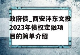 政府债_西安沣东文投2023年债权定融项目的简单介绍