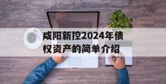 咸阳新控2024年债权资产的简单介绍