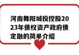 河南舞阳城投控股2023年债权资产政府债定融的简单介绍