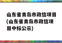 山东省青岛市政信项目(山东省青岛市政信项目中标公示)