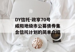 DY信托-政享70号咸阳地级市公募债券集合信托计划的简单介绍