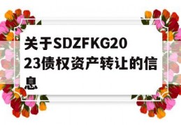 关于SDZFKG2023债权资产转让的信息