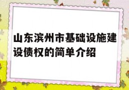 山东滨州市基础设施建设债权的简单介绍