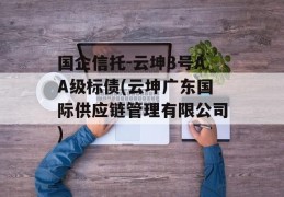 国企信托-云坤3号AA级标债(云坤广东国际供应链管理有限公司)