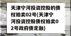 天津宁河投资控股的债权拍卖02号(天津宁河投资控股债权拍卖02号政府债定融)