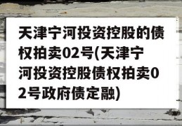 天津宁河投资控股的债权拍卖02号(天津宁河投资控股债权拍卖02号政府债定融)