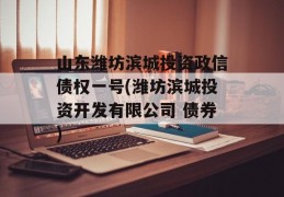 山东潍坊滨城投资政信债权一号(潍坊滨城投资开发有限公司 债券)