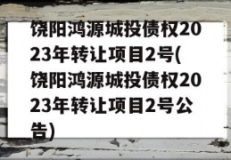 饶阳鸿源城投债权2023年转让项目2号(饶阳鸿源城投债权2023年转让项目2号公告)