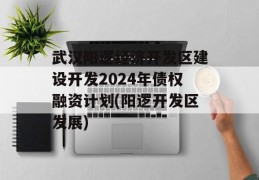 武汉阳逻经济开发区建设开发2024年债权融资计划(阳逻开发区发展)