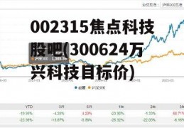 002315焦点科技股吧(300624万兴科技目标价)