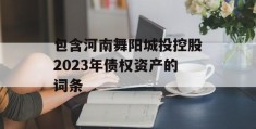 包含河南舞阳城投控股2023年债权资产的词条