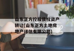 山东正方控股债权资产转让(山东正方土地房地产评估有限公司)