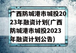 广西防城港市城投2023年融资计划(广西防城港市城投2023年融资计划公告)