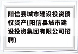 阳信县城市建设投资债权资产(阳信县城市建设投资集团有限公司招聘)