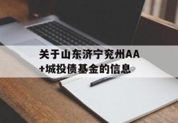 关于山东济宁兖州AA+城投债基金的信息