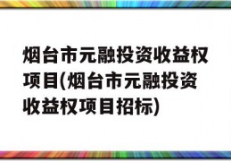 烟台市元融投资收益权项目(烟台市元融投资收益权项目招标)