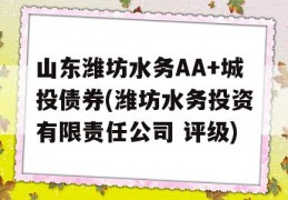 山东潍坊水务AA+城投债券(潍坊水务投资有限责任公司 评级)