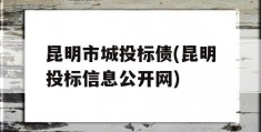 昆明市城投标债(昆明投标信息公开网)