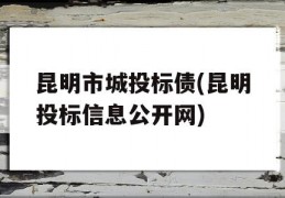 昆明市城投标债(昆明投标信息公开网)