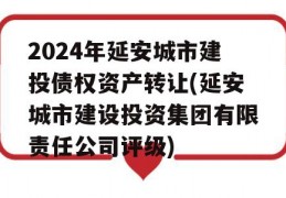 2024年延安城市建投债权资产转让(延安城市建设投资集团有限责任公司评级)