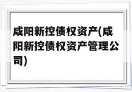 咸阳新控债权资产(咸阳新控债权资产管理公司)