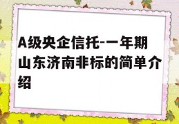 A级央企信托-一年期山东济南非标的简单介绍